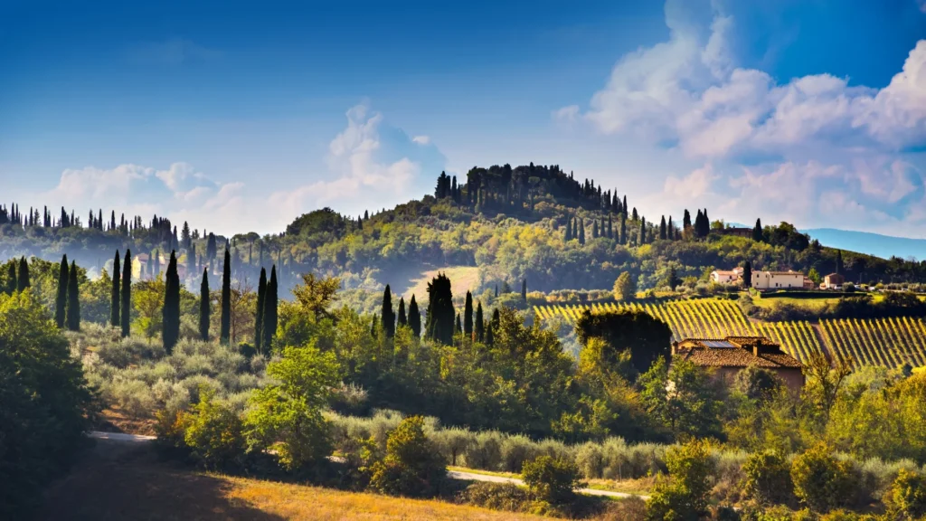 Paesaggio della Val d’Orcia con cipressi e vigneti